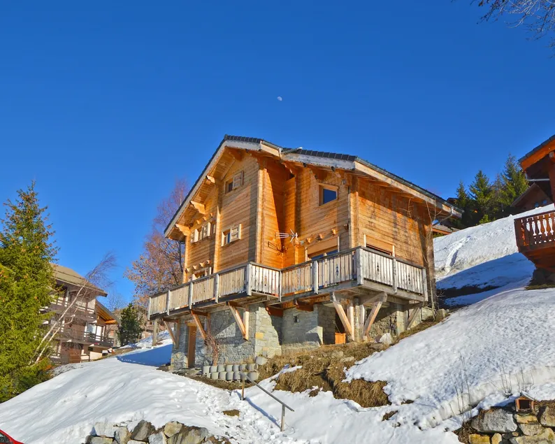 Chalet Phoenix 14p 3OOm pistes LaPlagne chem.Sauna - Image 1