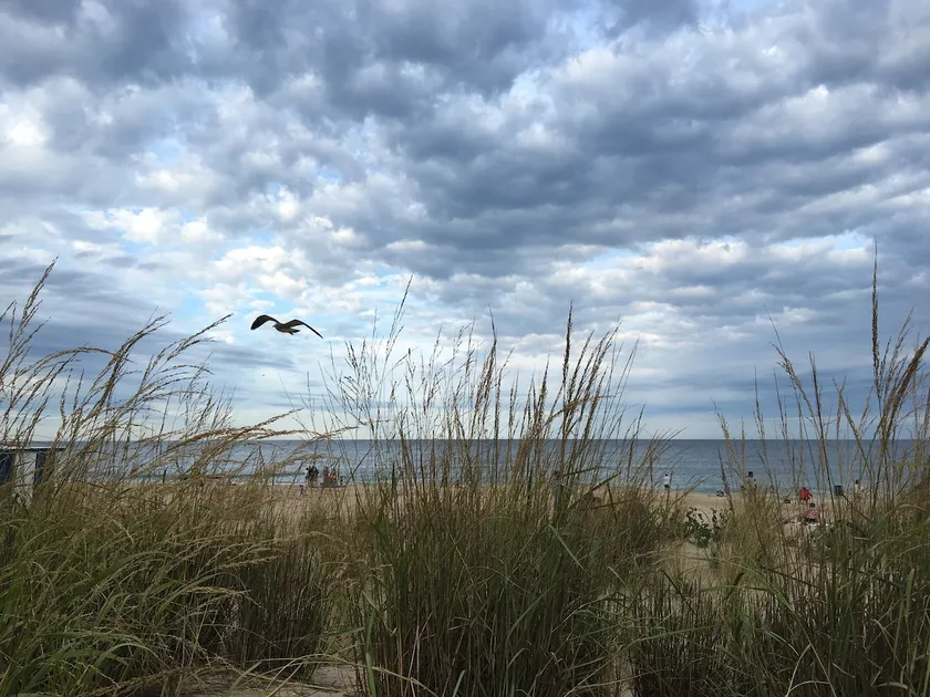 Pebble Beach by Rehoboth & Dewey - Image 1