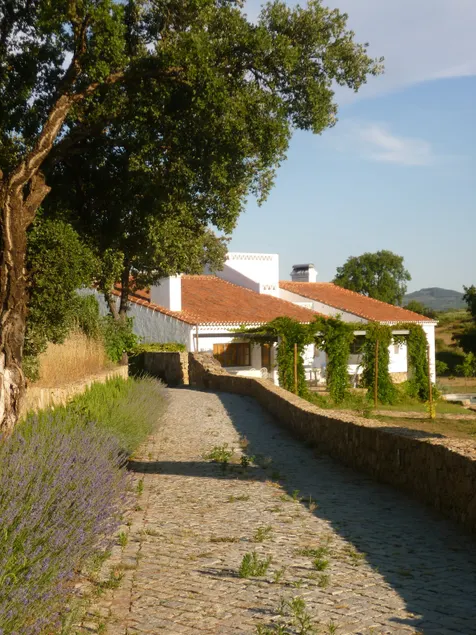 THE OLIVE PRESS - Alentejo by Portus Alacer - Image 1