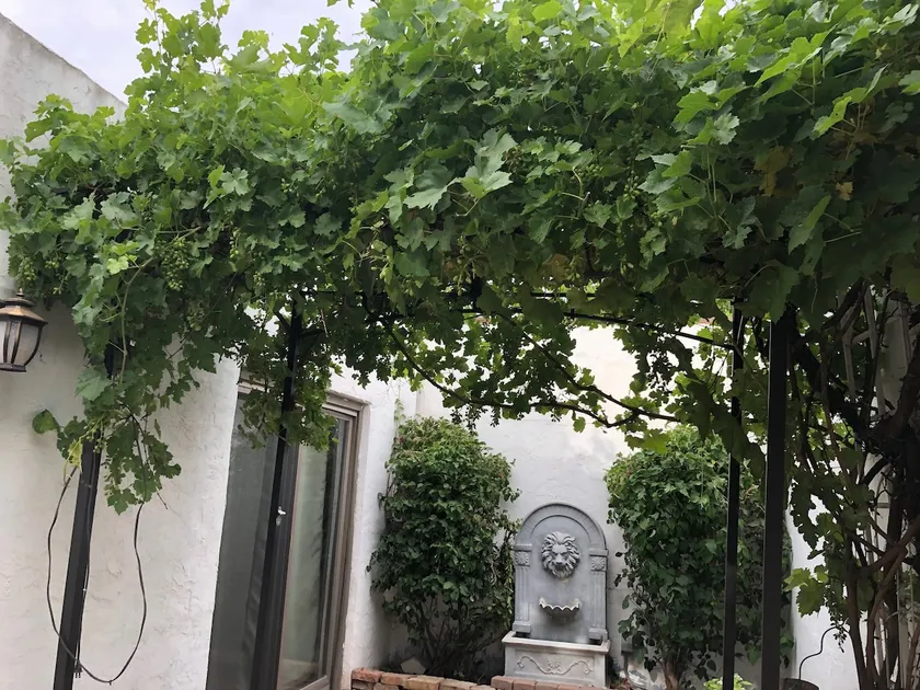 La Casa Salubre - Image 1