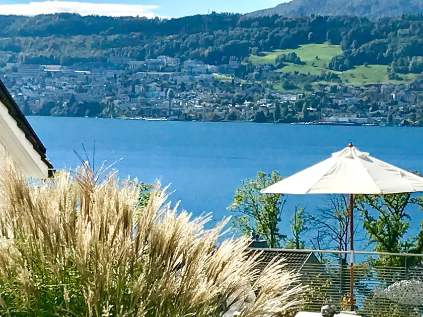 THE Lakeview House in Zurich - Image 1