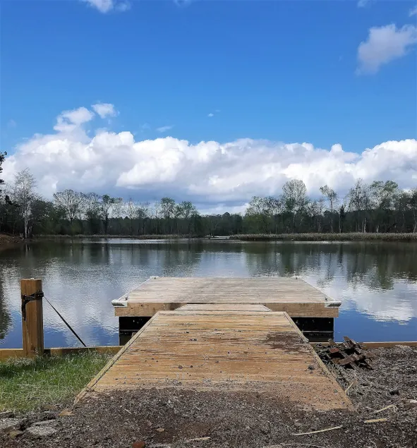 Rustic lodge in the woods on Lake Harding, AL - Image 1