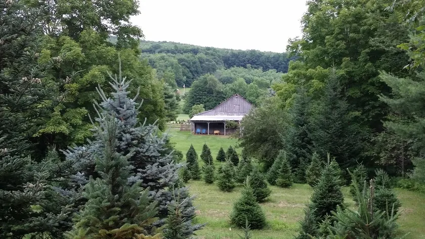 !Charming Cabin, Great Views - Image 1