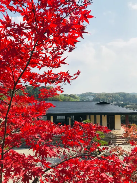 2800 square meters Japanese courtyard villa - Image 1