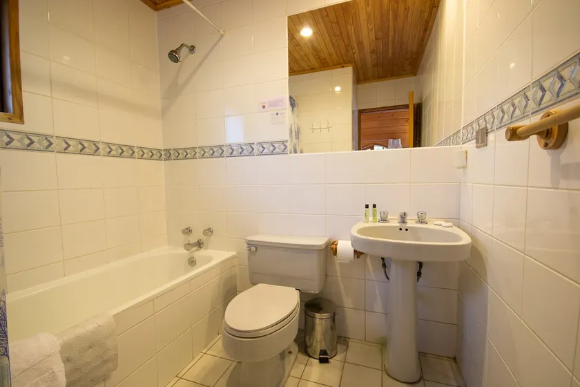 CABIN FOR 2 PEOPLE VILLARRICA - Image 1