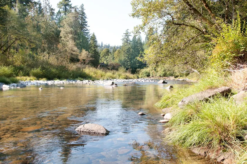 River's Rest Riverfront Property - Image 1