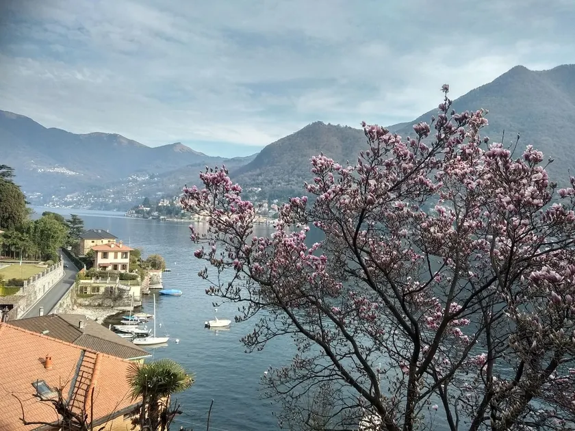The beautiful Ghita - Image 1