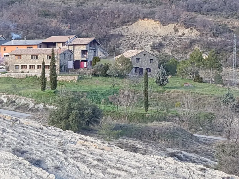 Pallero Low - Image 1