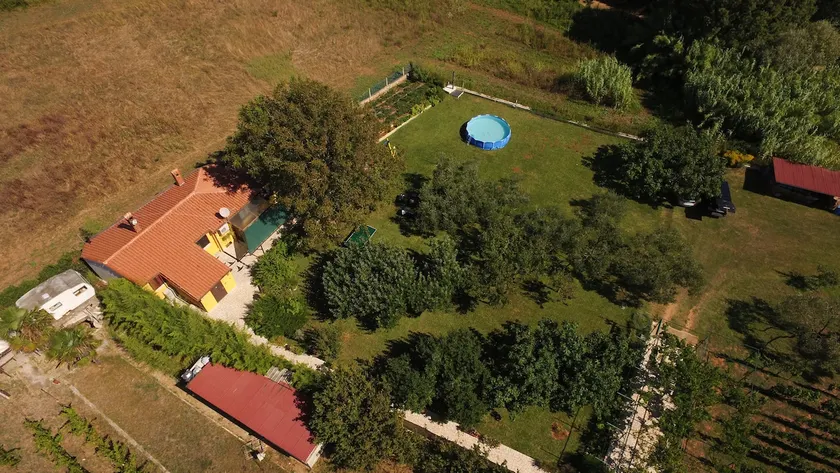 Under the Walnut Tree Pomer - Family & pet-friendly, big lawn, greenery, nature - Image 1