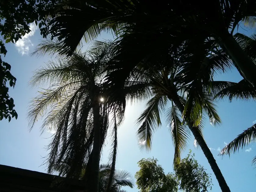 Artistic 1 bedroom - quick walk to the beach - Image 1