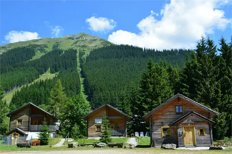 Almdorf Präbichl - Image 1