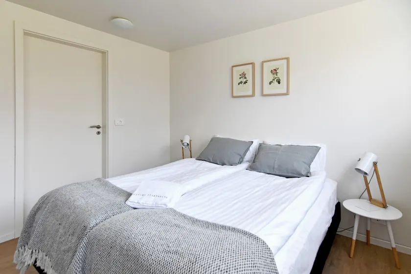 New Apartment halfway between Husavik and Myvatn - Image 1