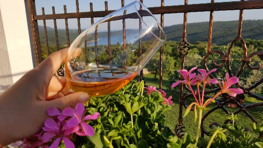 SUN WINE AND VIEW app. Leticija - Image 1