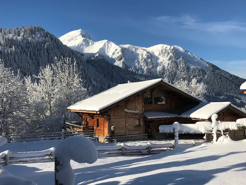 Beautiful wooden chalet in Chatel - Image 1