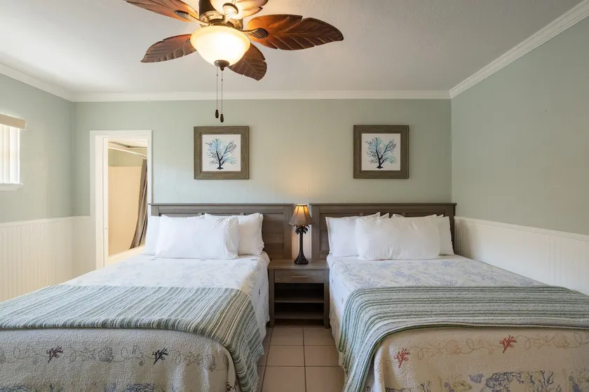 Spacious 1 Bedroom Apartment - Image 1