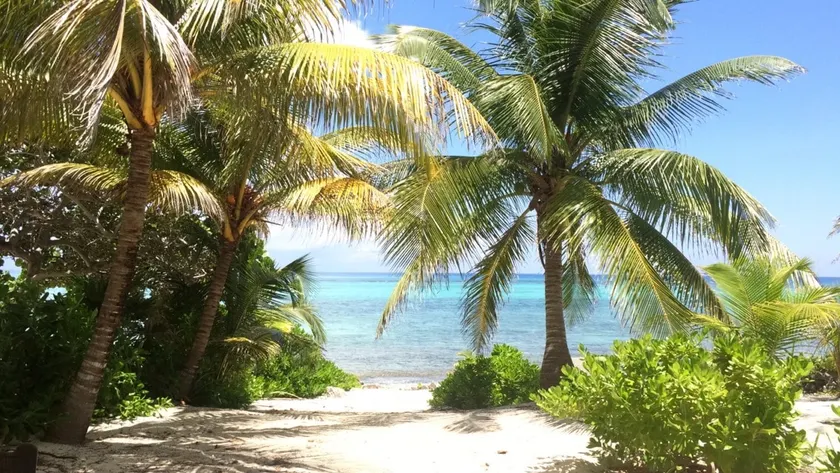 TROPICAL HAVEN HIDDEN BEACH AKUMAL - Image 1