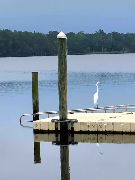 Down by the Bay… cozy 2 bedroom near park - Image 1