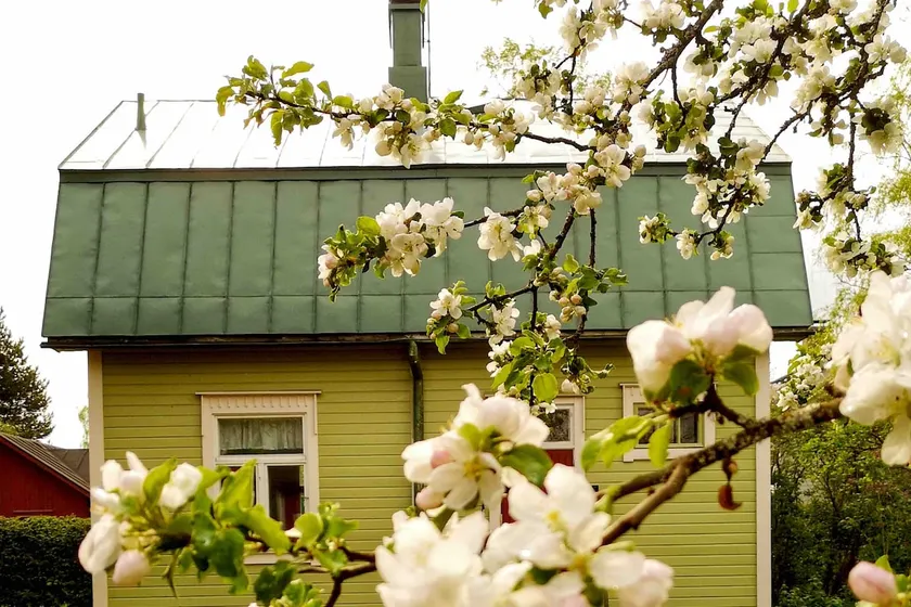 The Little Green House - Image 1