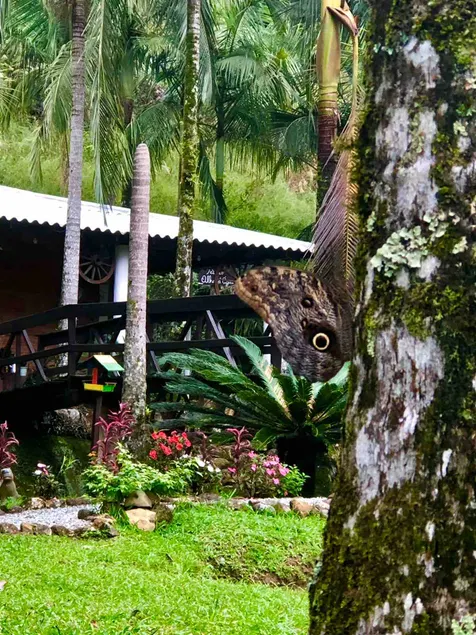 Sitio Olho D'Água - A Refuge in the Nature - Image 1