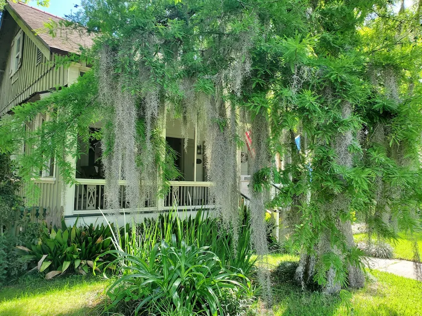 Old Mandeville Guesthouse on Claiborne - Image 1