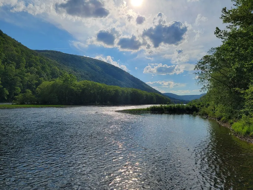 Cozy open space area along the Susquehanna River - Image 1