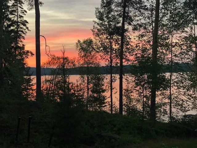 Real Finnish nature close to Helsinki - Image 1