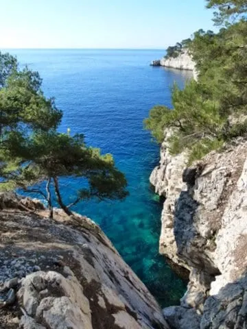 Feel Good Cassis - Image 1