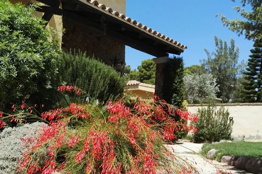 Porto Pino Sardinia Holiday Home - Image 1