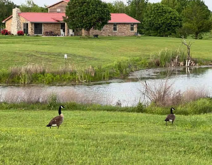 Blue Bell Lakeside Duplex(w/ 10ac pond/lake/pool) - Image 1