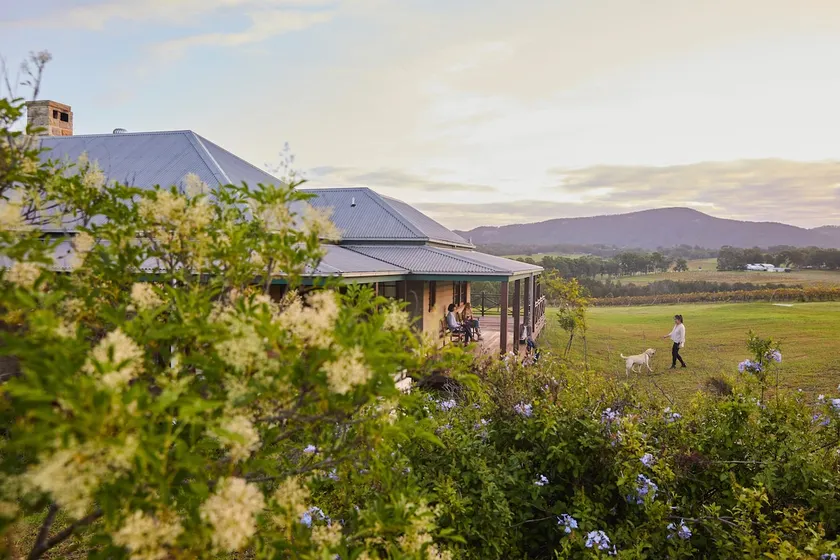 Hanging Tree Wines - Image 1