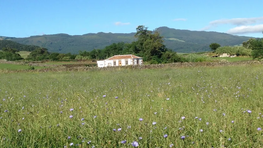 Quinta de Sao Bras - Image 1