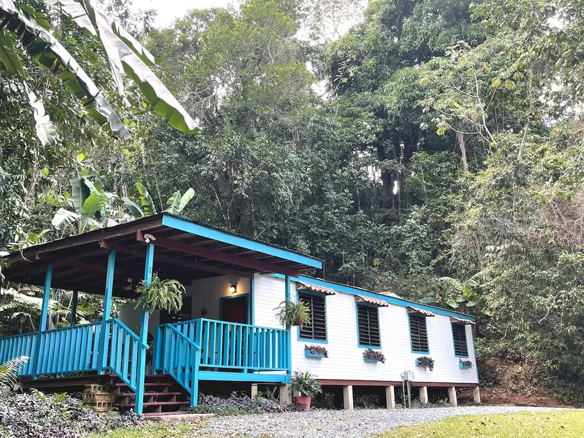Forest house - Image 1