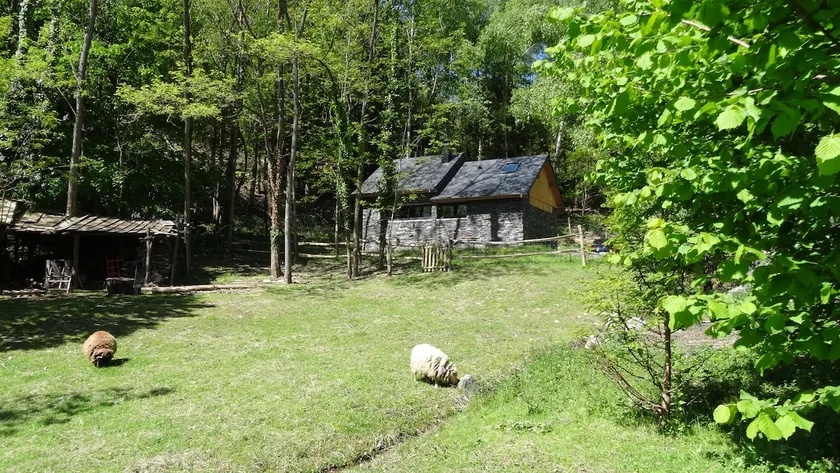 The little Refuge - Image 1