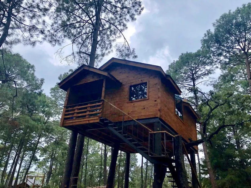 Treehouse in Mazamitla forest - Image 1