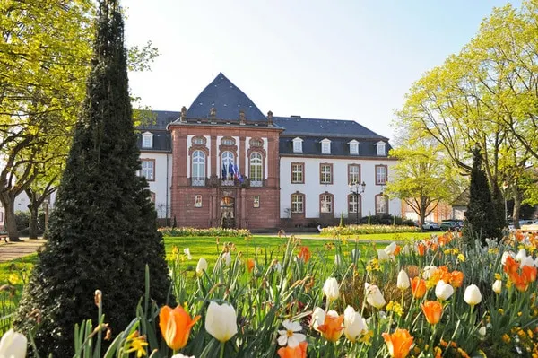 Charming studio in Haguenau, 25 minutes from Strasbourg - Image 1