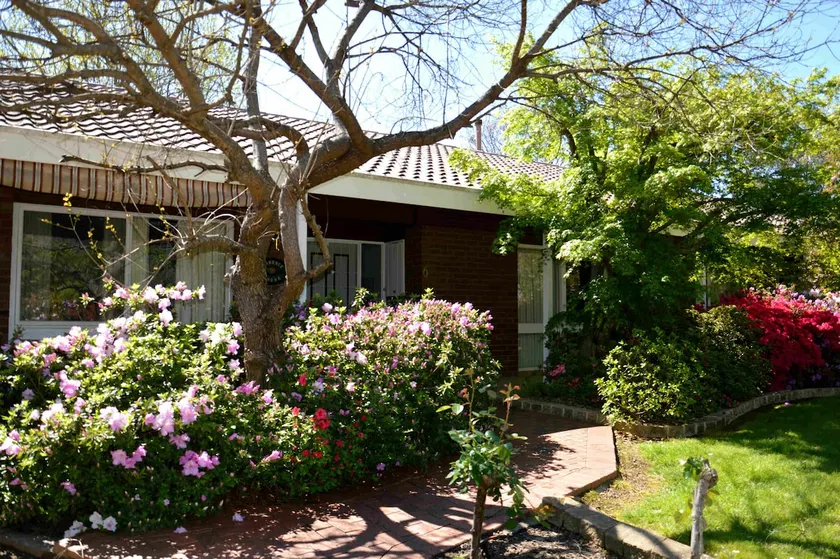Clarence House, Bright - Image 1