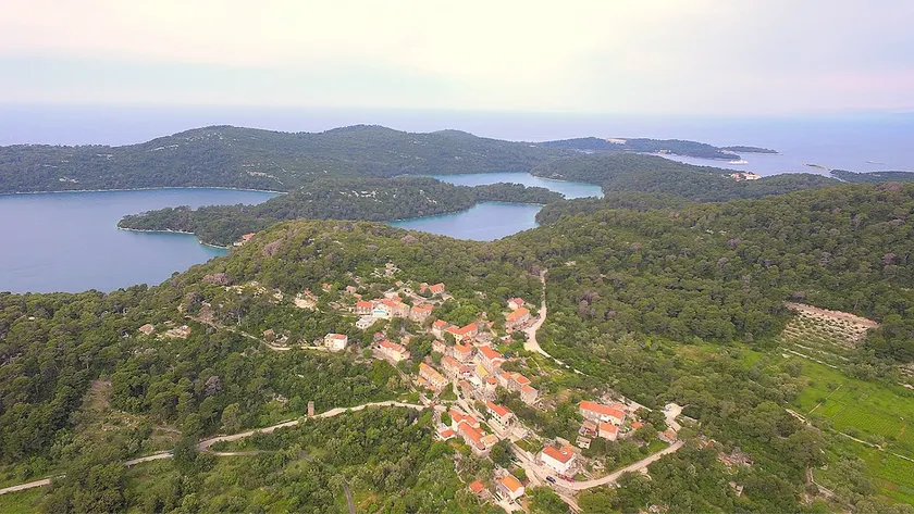 National Park Mljet - House Lasko - Image 1