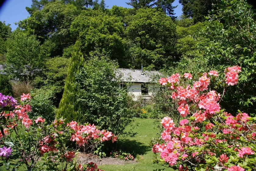 Cwm Irfon Lodge - Image 1