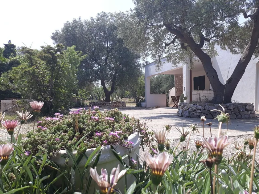 Casa Agave - Image 1