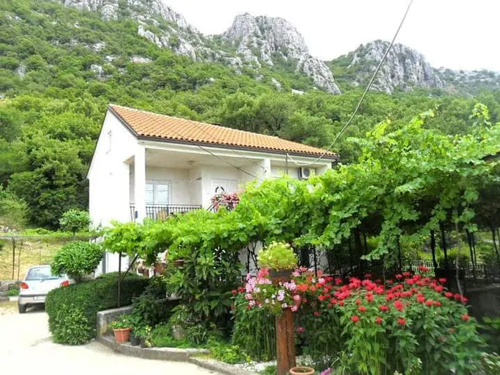 APP ZORKA (BRIBIR) - Image 1