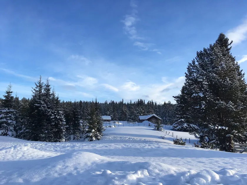 Seterstue at Kvebergshaugvangen - Image 1