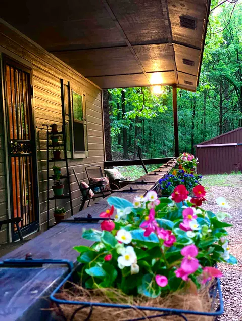 Cozy Cabin Surrounded by Beautiful Woods - Image 1
