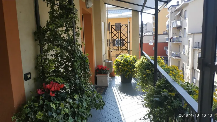 Two-room apartment: ”flower-filled balconies” - Image 1