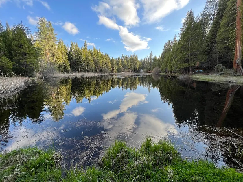 Sweet Haven: Spacious Family Cabin by a pond! - Image 1
