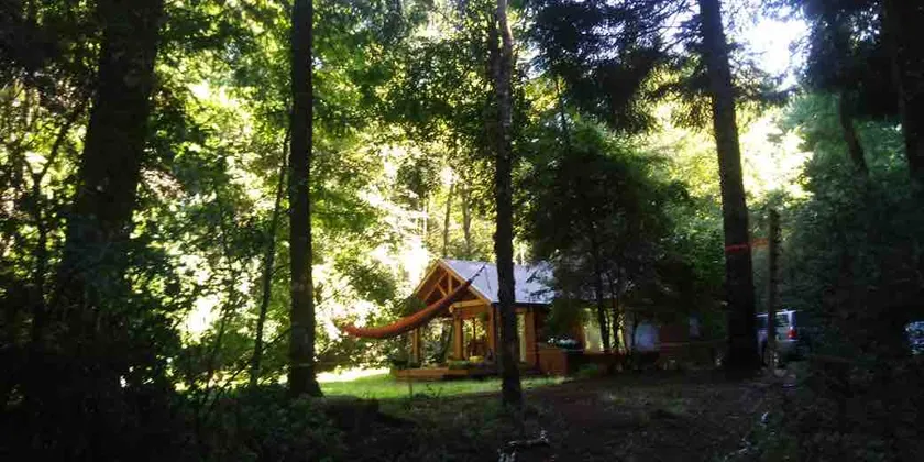 Spacious Riverside Cabin in Native Forest | Pucón - Image 1