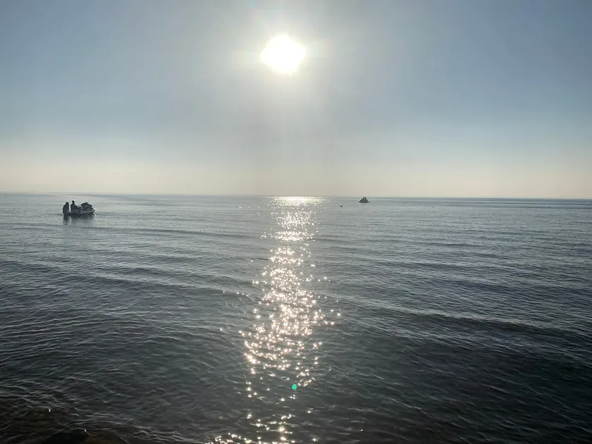 Quiet Between sea and forest 1 - Image 1