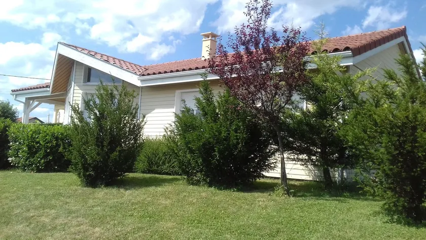 Home - Image 1