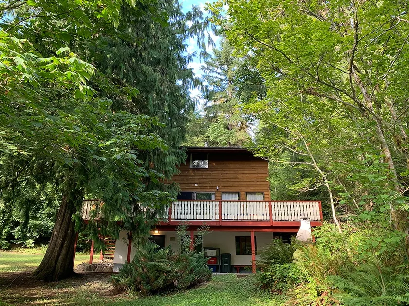Spacious & Private Mt. Baker Cedar Cabin! - Image 1