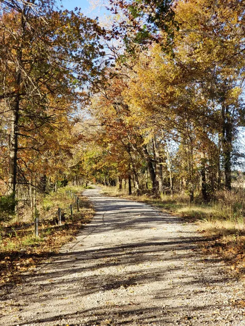 Honey Creek Hideaway at Back Country Camp - Image 1