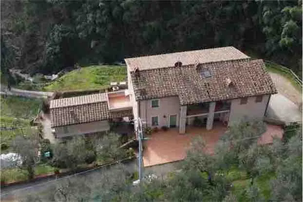 Podere Magnoli PINO ground floor apartment - Image 1